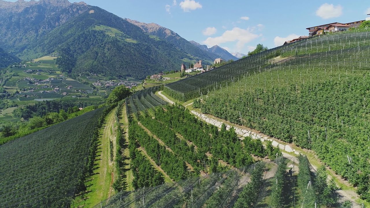 Mitterplattweg in Schenna / Il sentiero Mitterplattweg a Scena