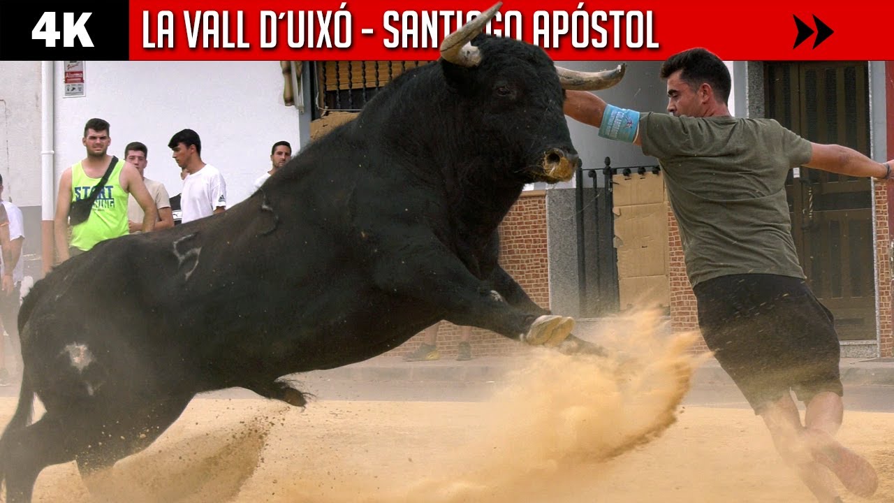 ESTE TORO VA CON TODO ▪ LA VALL D´UIXÓ ▪ Santiago Apóstol ▶ Toros bravos 2022