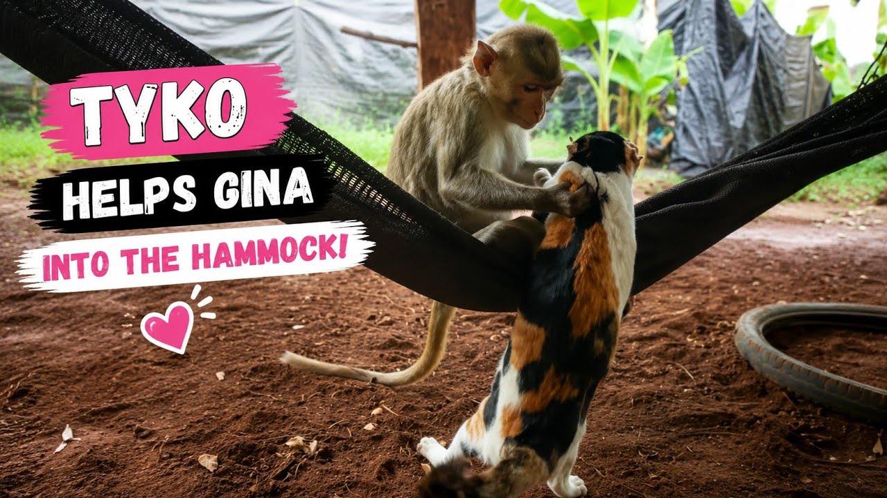 Monkey, Dog & Cat: The Cutest Countryside Family You&rsquo;ll Ever See!