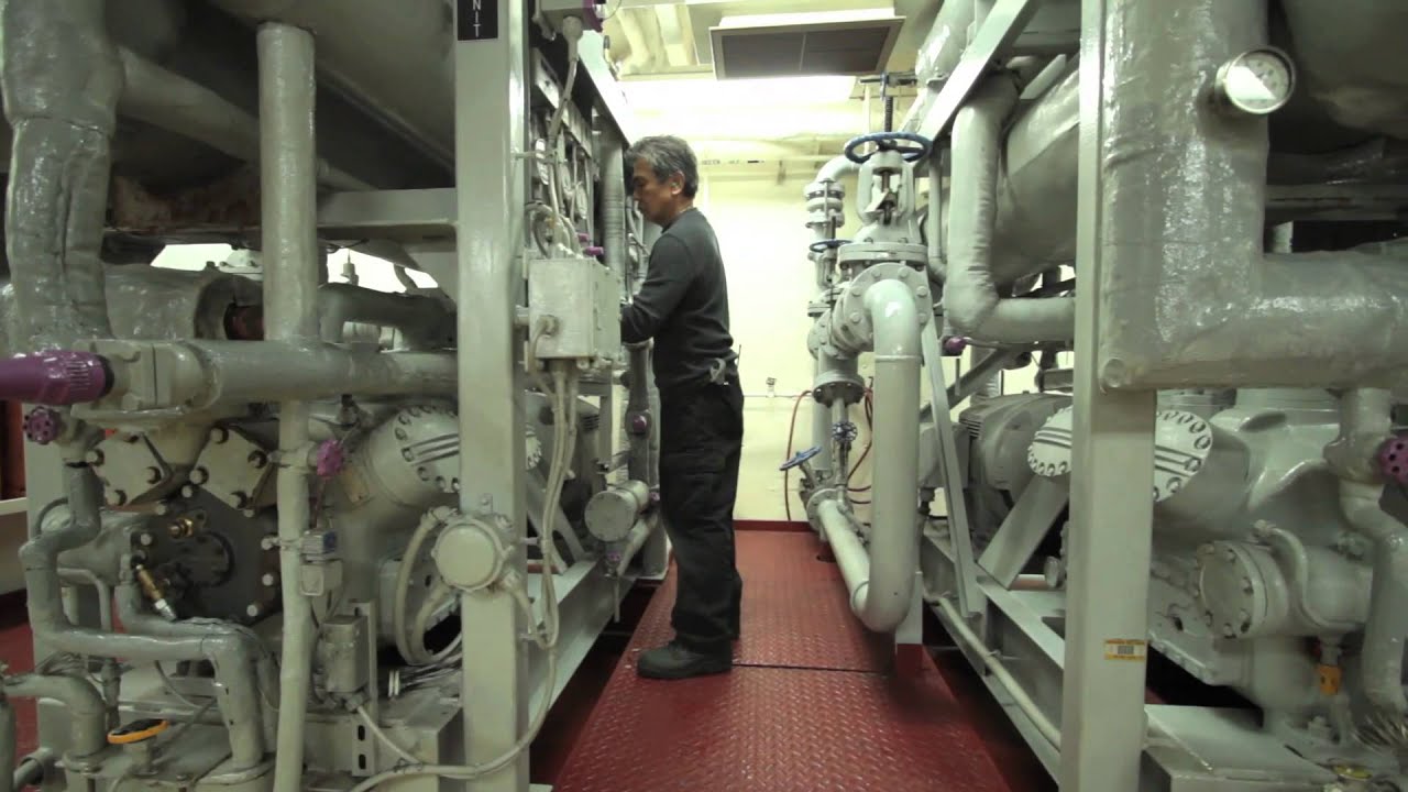 JOBS AT MSC: Refrigeration Engineer
