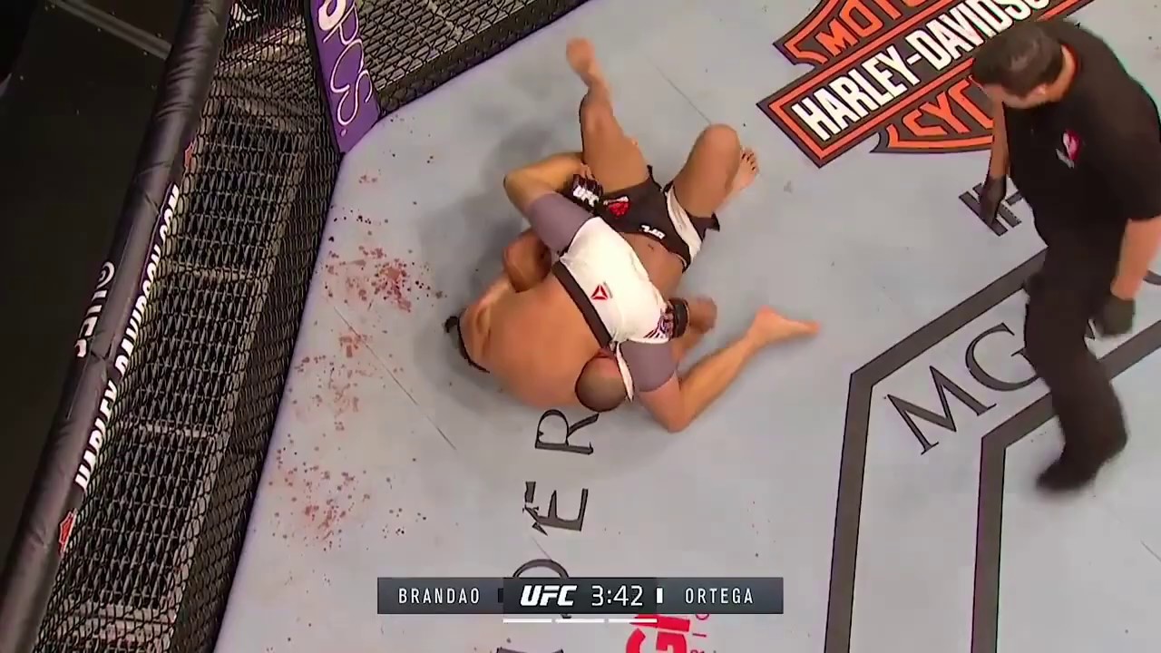 No gi triangle highlights 2019 'The deadly shape'