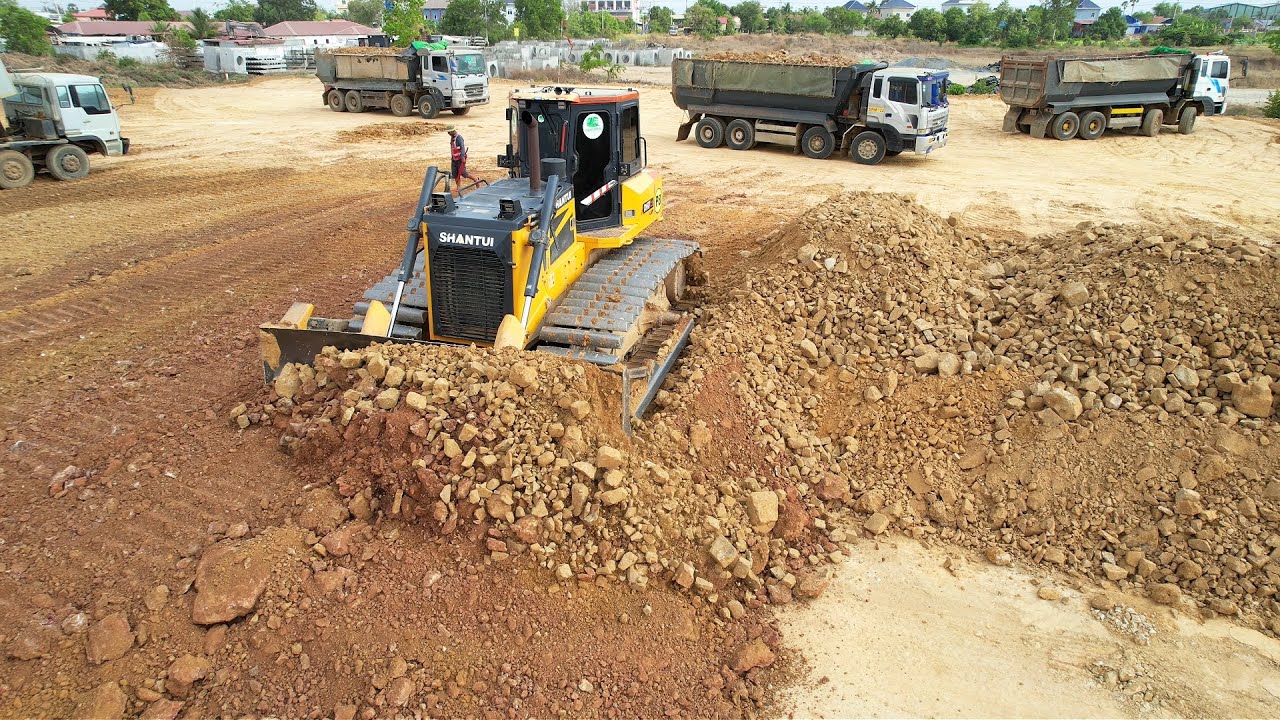 Nicely Bulldozer SHANTUI Up Leveling land With Many Dump Trucks Pouring Soils Building Apartment