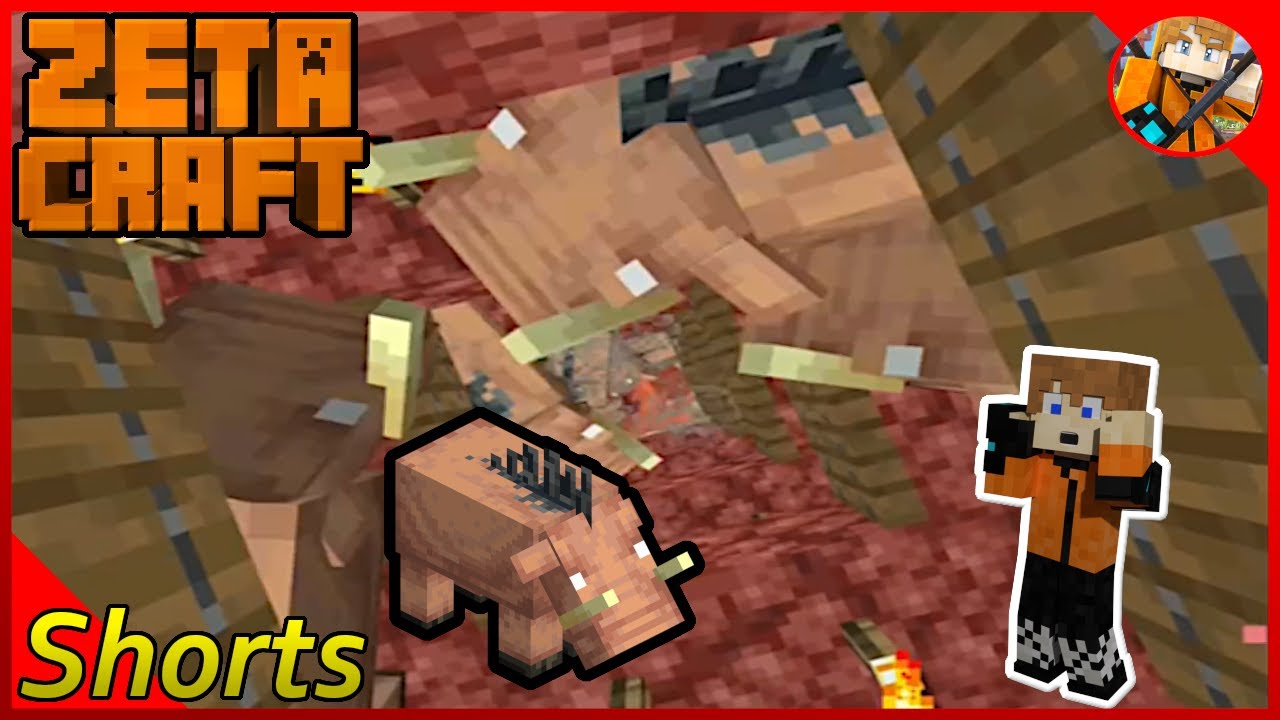 Hoglin Farm Goodness 🐷 ZetaCraft
