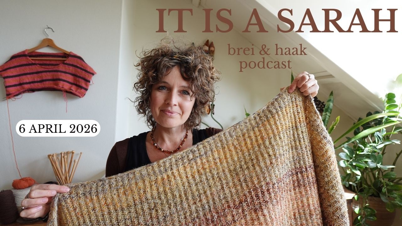 🇳🇱  It Is A Sarah | Bits & Bobs, allerlei streepjes & Stakit vest bijna klaar