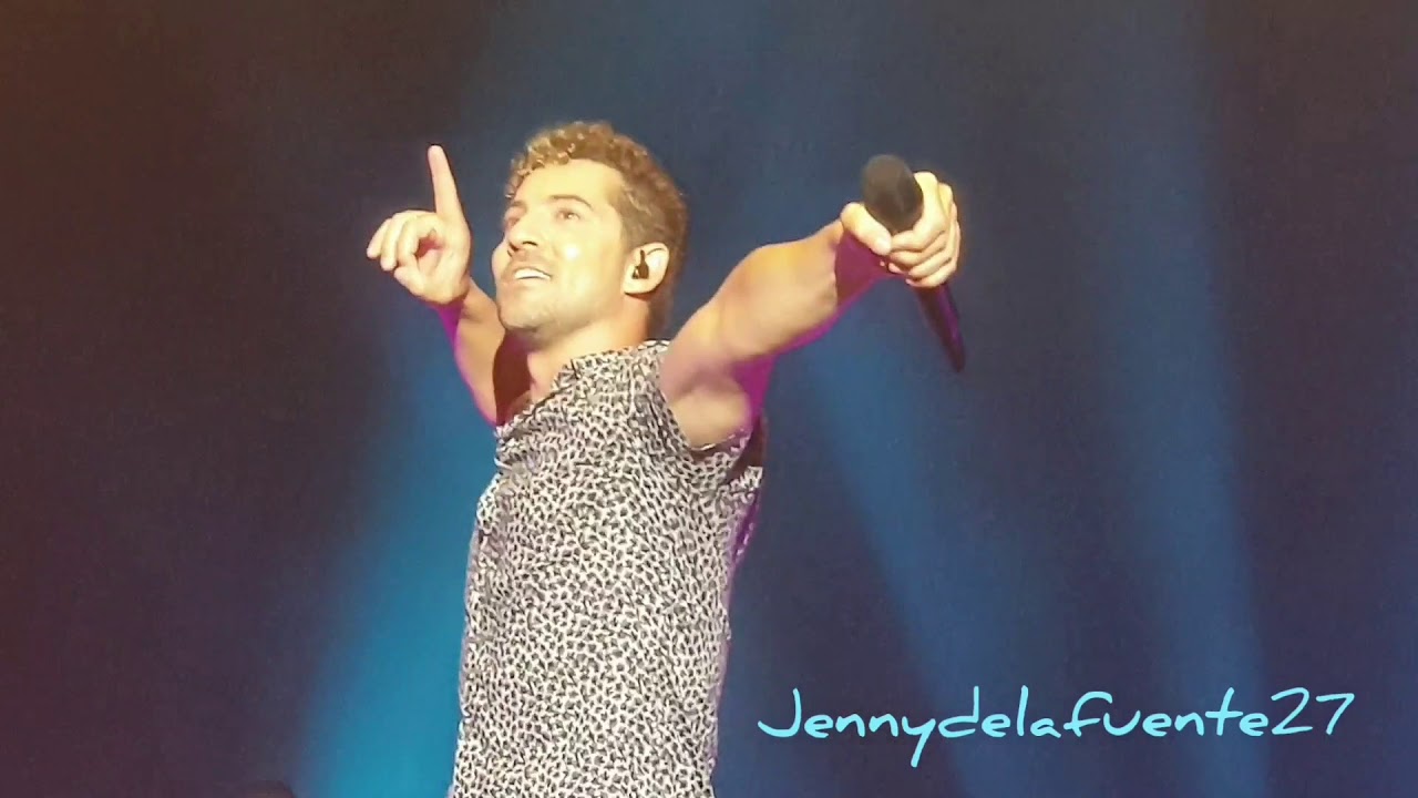 David Bisbal 