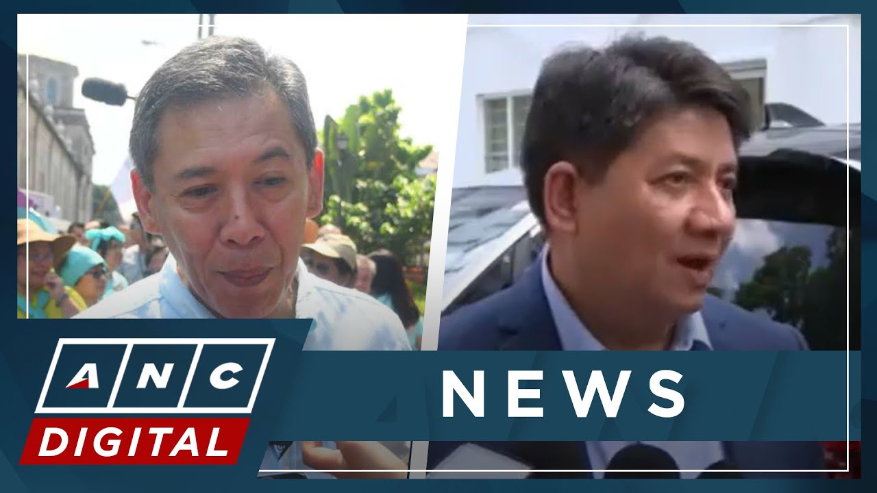 WATCH: Free Legal Assistance Group's Atty. Chel Diokno reacts to Larry Gadon's disbarment | ANC