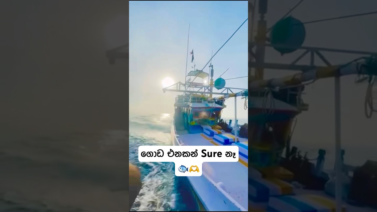 ජීවිතය පරදුවට තියලා කරන රස්සාවක් මේක🐟⛵️#fishingboat #fishinglife #fishing #fish #dangerous #job