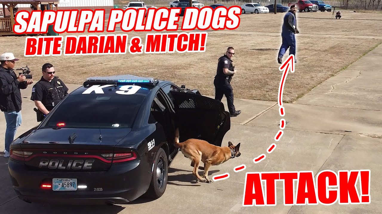 Sapulpa Police Dog Bites Darian & Mitch!