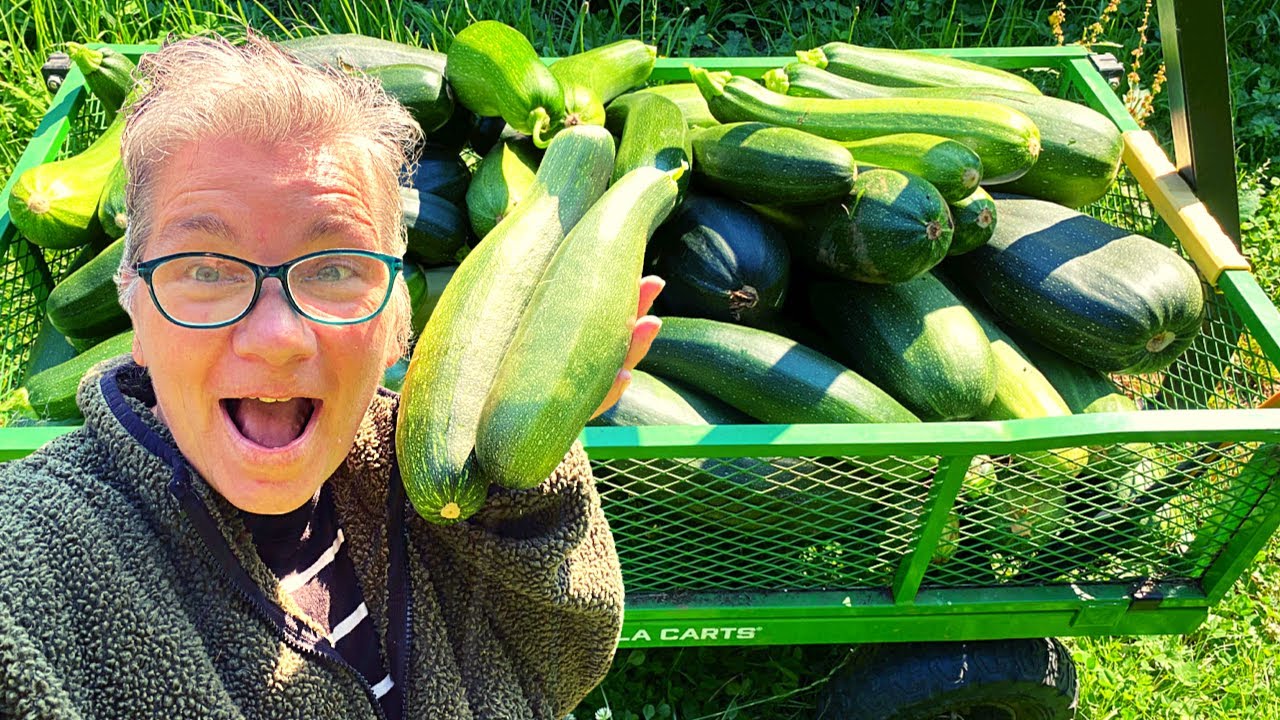 What to do With Too Many Zucchini  EVERYTHING!