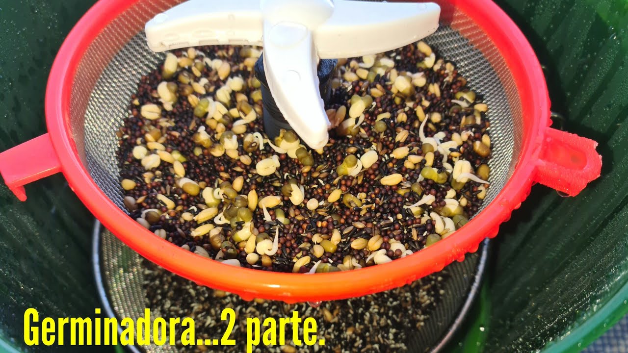 Germinado...2ª parte, ha sido todo un éxito 🙌👌✨👏.
