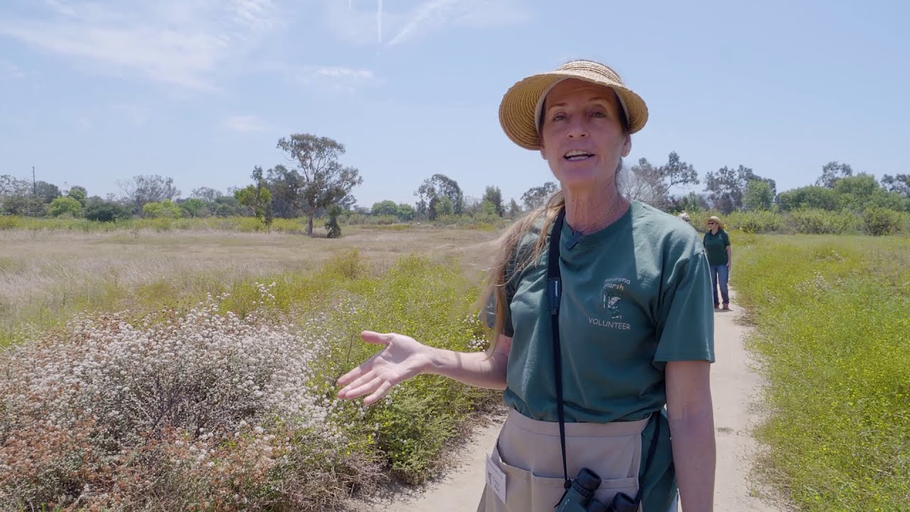 Madrona Marsh Virtual Tour