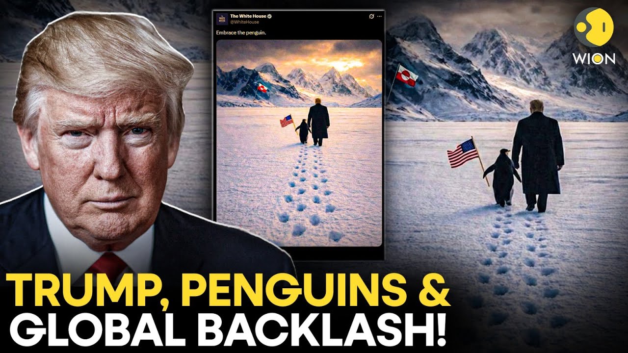 White House Posts Bizarre Penguin Meme About Greenland &mdash; What&rsquo;s It All About? | ORIGINALS