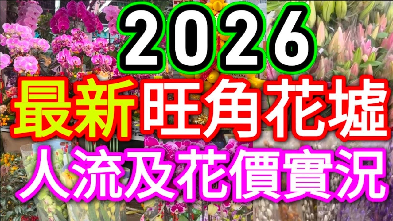 2026 💐旺角花墟變成點樣❓ 點解價錢平咁多❓ 值唔值得去 ❓一睇就知道👀