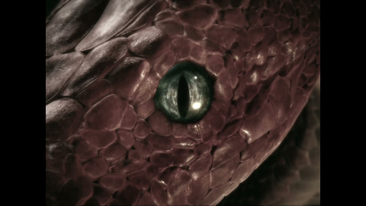 elden ring !?