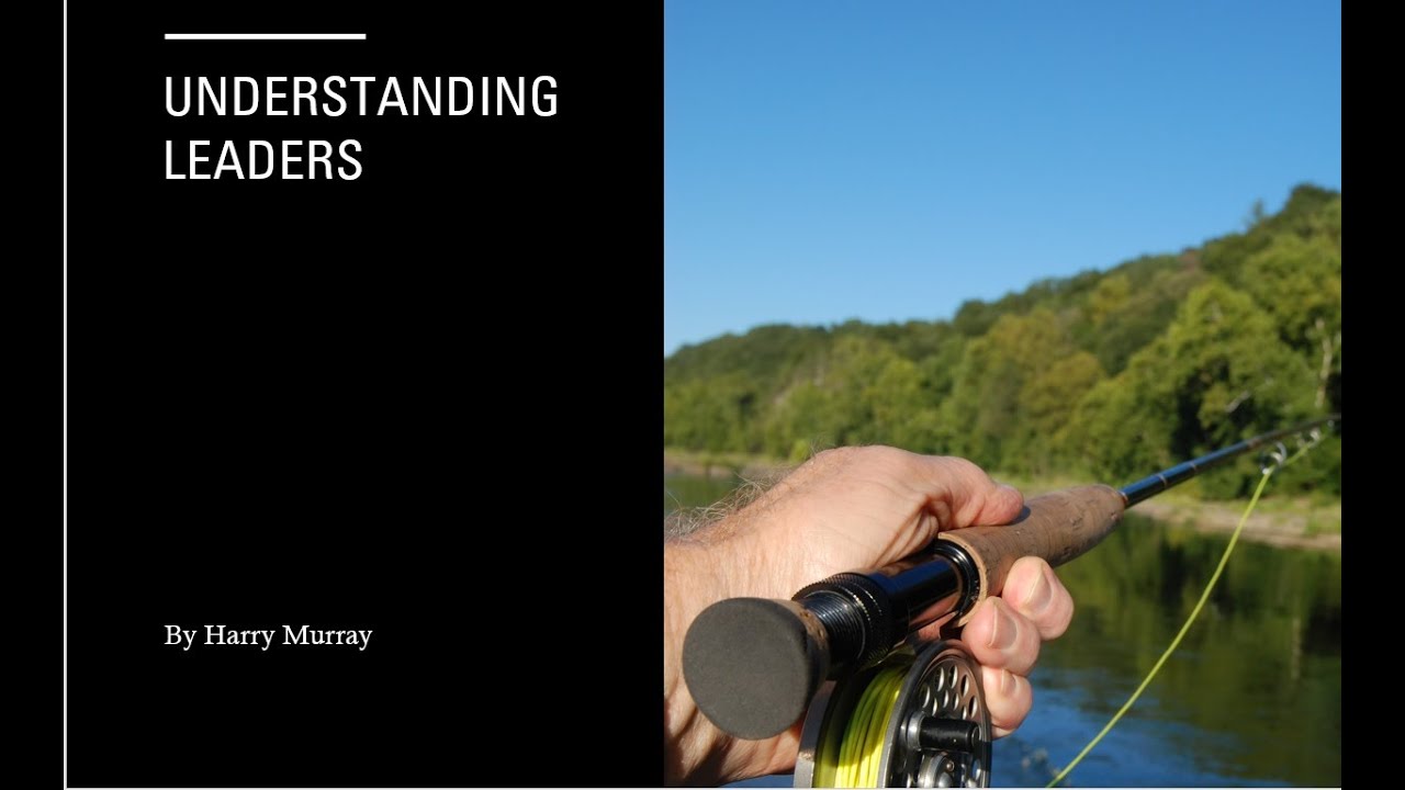 Understanding Leaders with Harry Murray