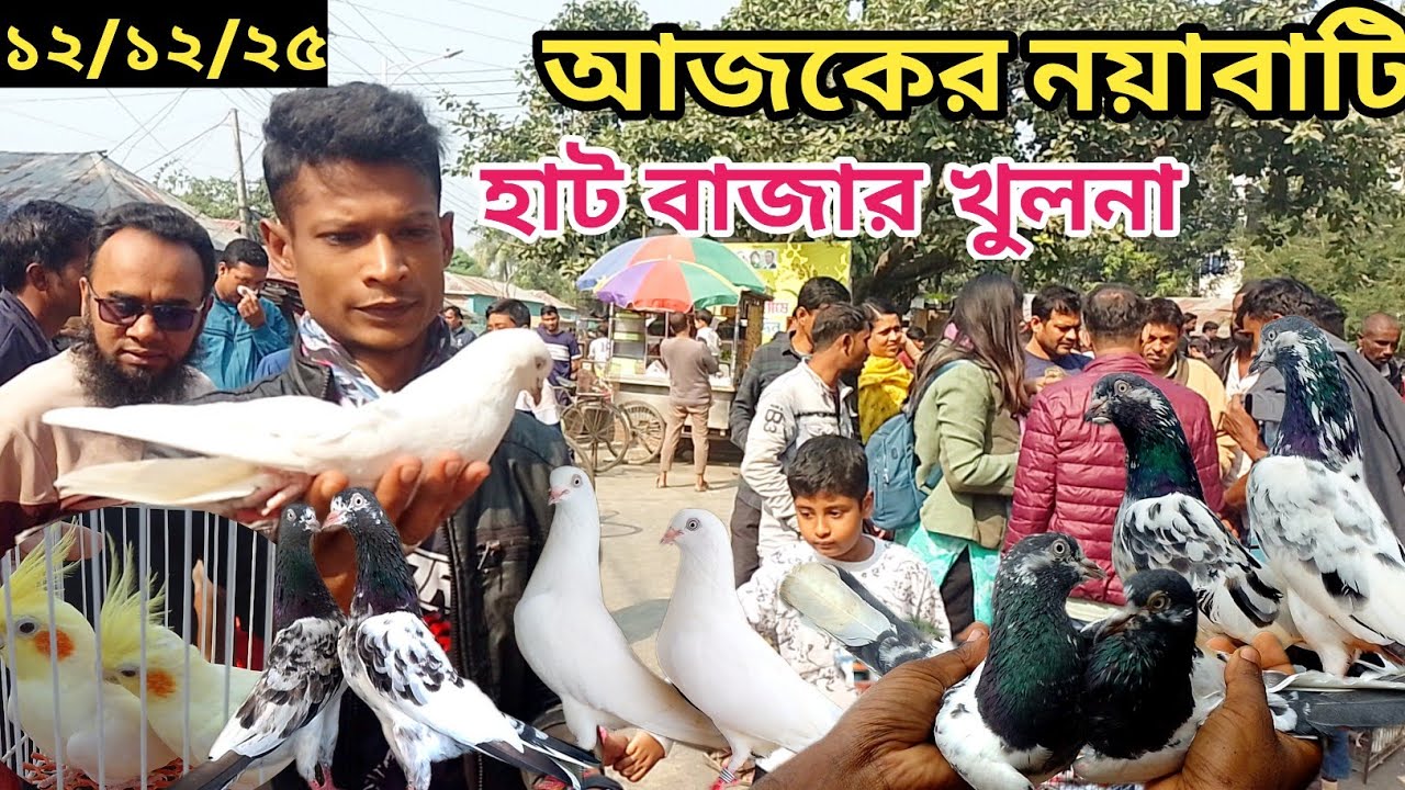 সবথেকে বড়ো কবুতরের হাট খালিশপুর নয়াবাটি(পর্ব ১১৪)largest pigeon market in khulna khalishpur noyab@bd