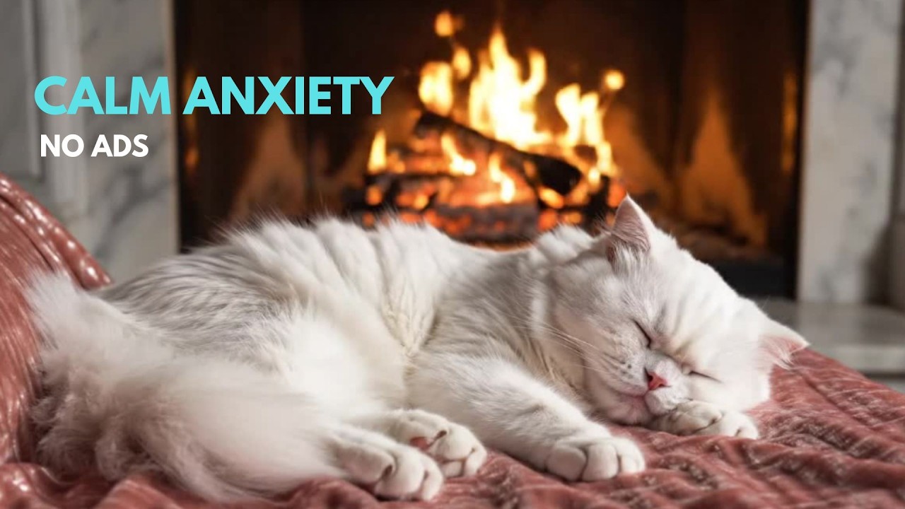 Cat Relaxation Music 🐾 Fireplace Sounds & Sleep Music to Calm Your Anxious Cat Fast