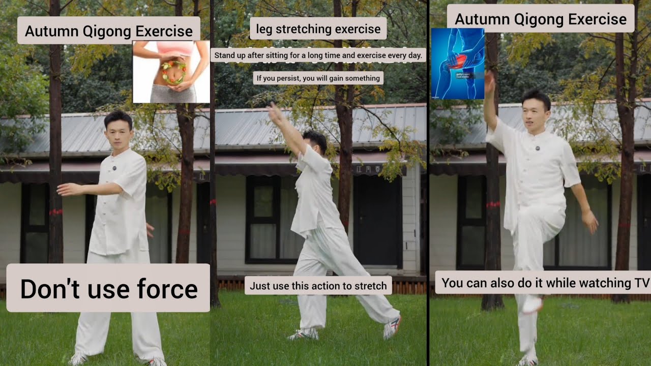 Autumn Qigong Leg Stretching for Daily Flexibility#AutumnQigong#QigongExercise#DailyStretch