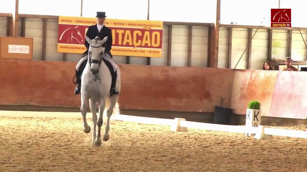 EQ ACTUALIDADE -  Maria Caetano/Assalto - Final da Taça de Portugal de Dressage 2012