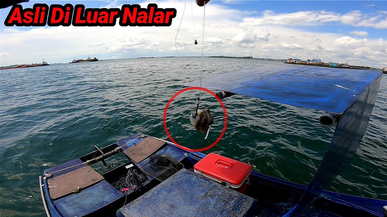 inilah Keajaiban Yg Nyata!! Seribu Pemancing Belom Tentu Seperti ini, Sungguh Di Luar Nalar
