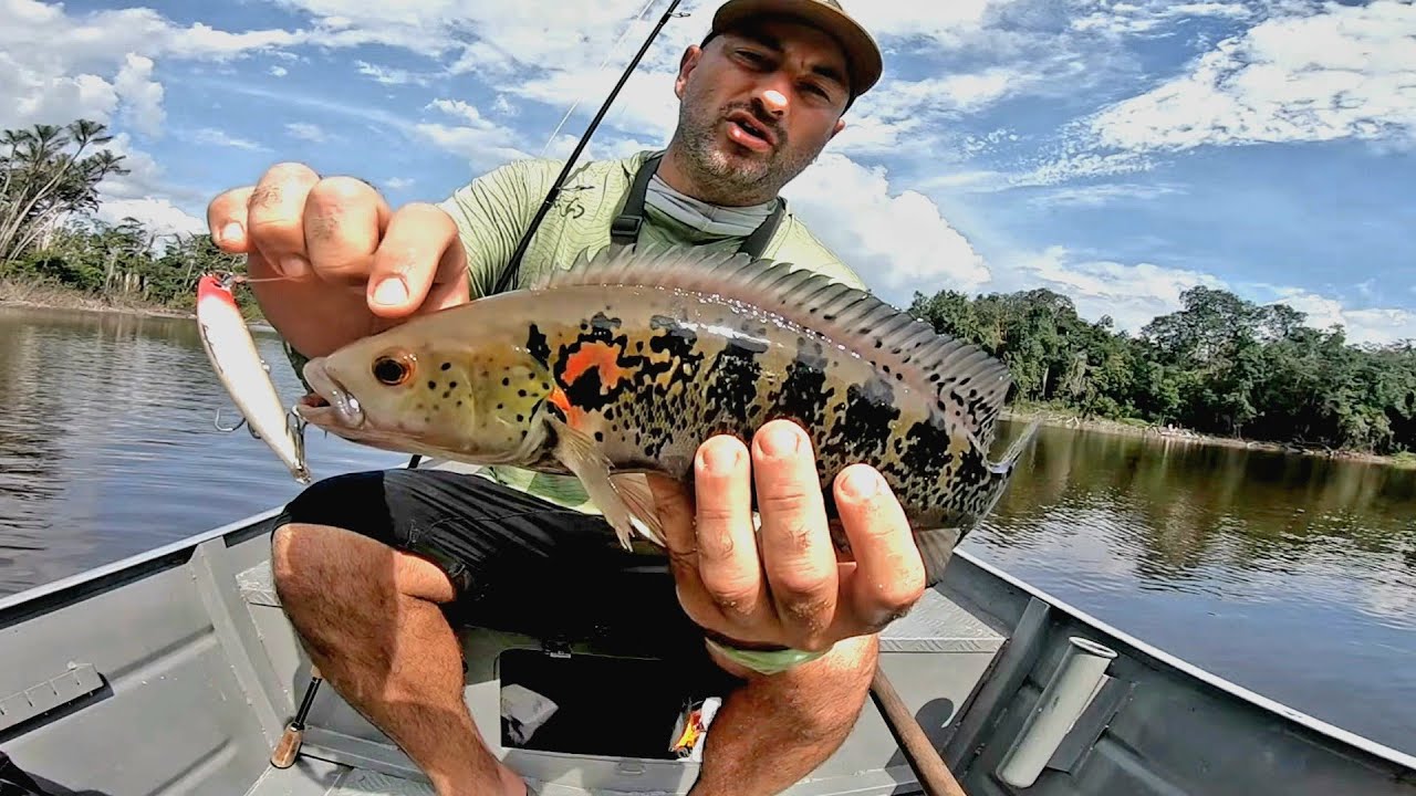 Exploración y pesca en el AMAZONAS, pesca urbana acuario urbano