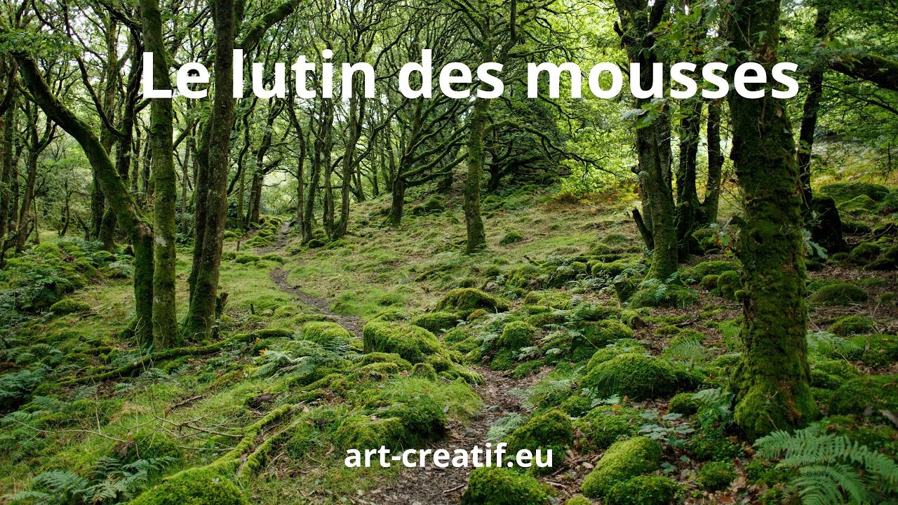Le lutin des mousses
