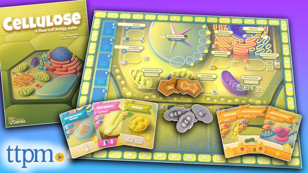 Cellulose: A Plant Cell Biology Game from Genius Games Instructions + Review!
