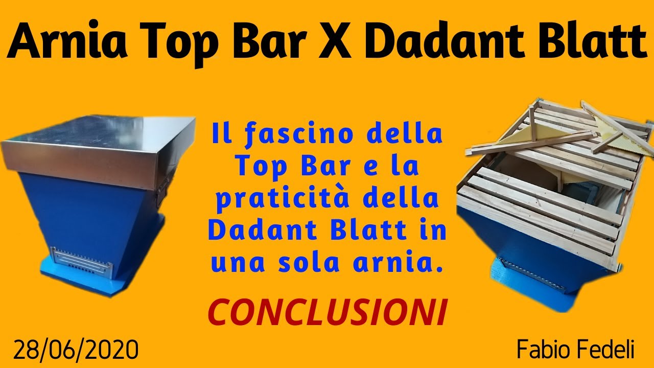 Conclusioni dell'arniaTopBar Top Bar Dadant Blatt