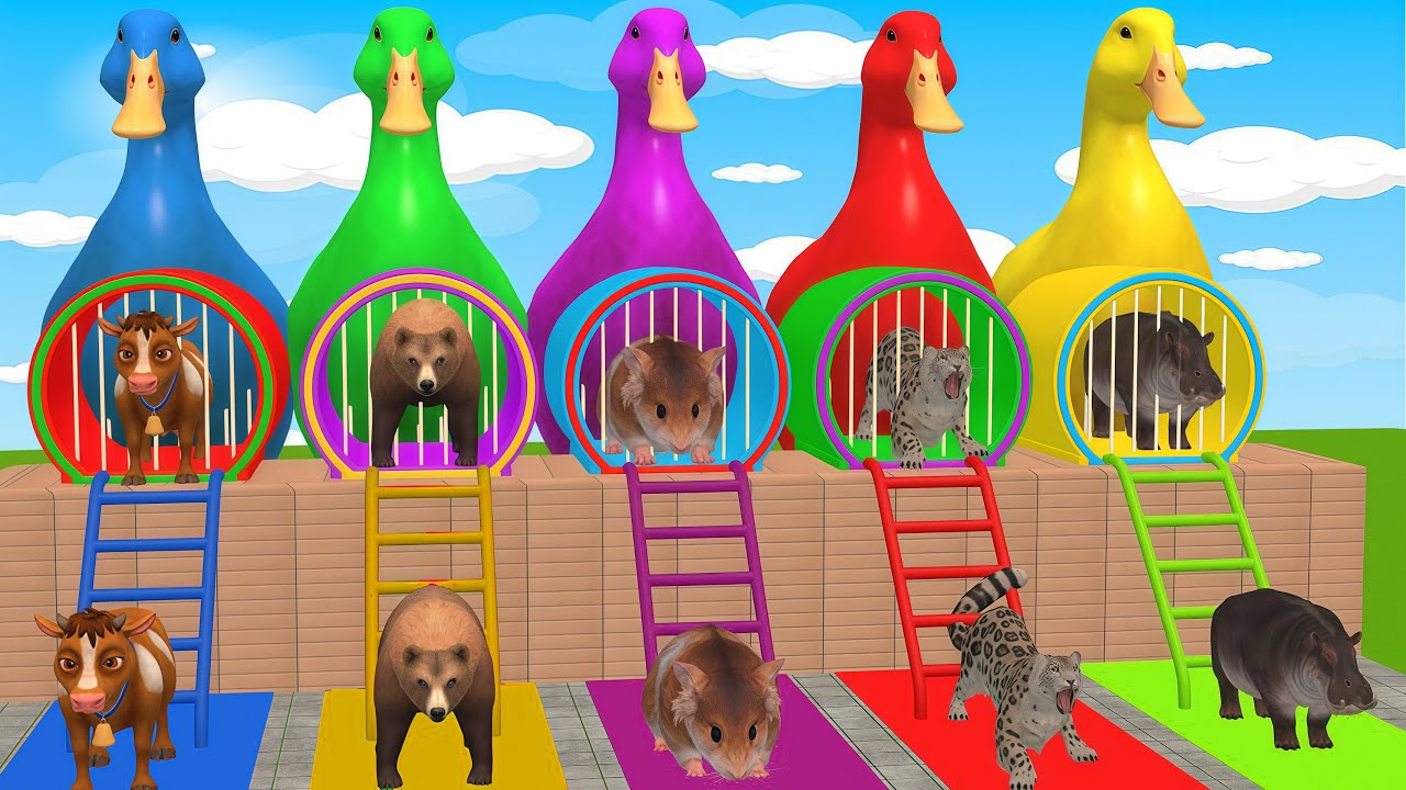 Long Slide Game With Elephant Gorilla Buffalo Hippopotamus Tiger 3d Animal Game Funny 3d Animals
