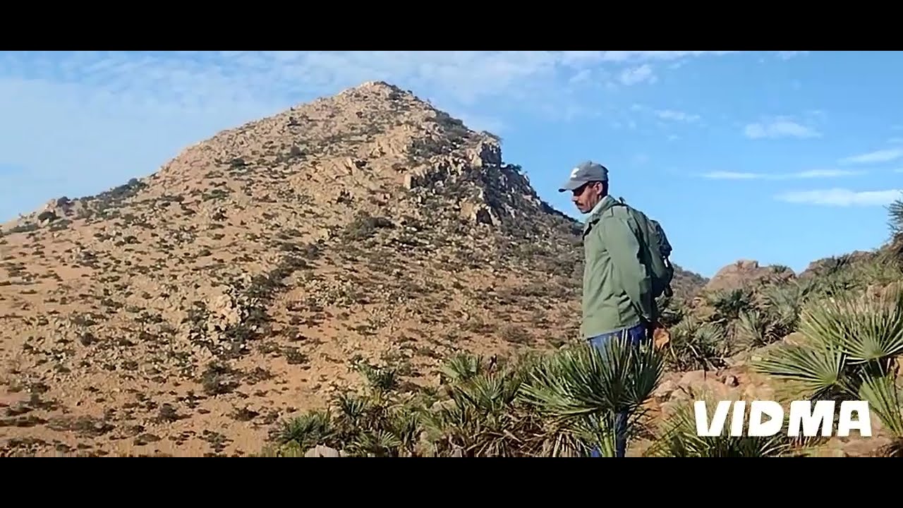 10/11/2024 القنص جبال أطلس.  La chasse