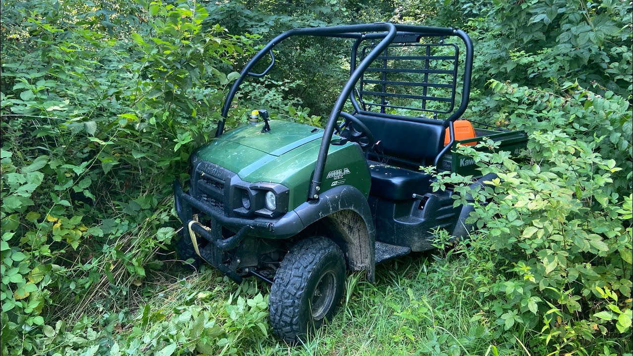 2020 Kawasaki Mule SX going through overgrown trails