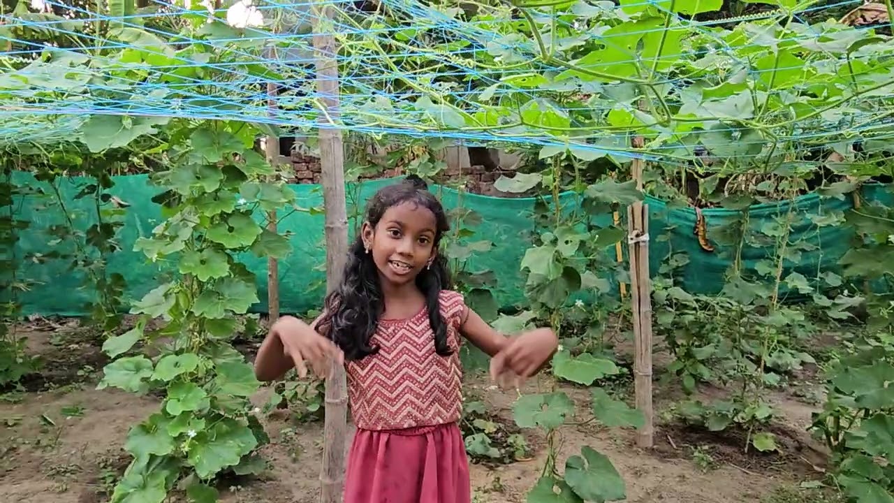 Nammude pachakkari thottam kanande....... Vaayo  we will show you our small vegetable farm..