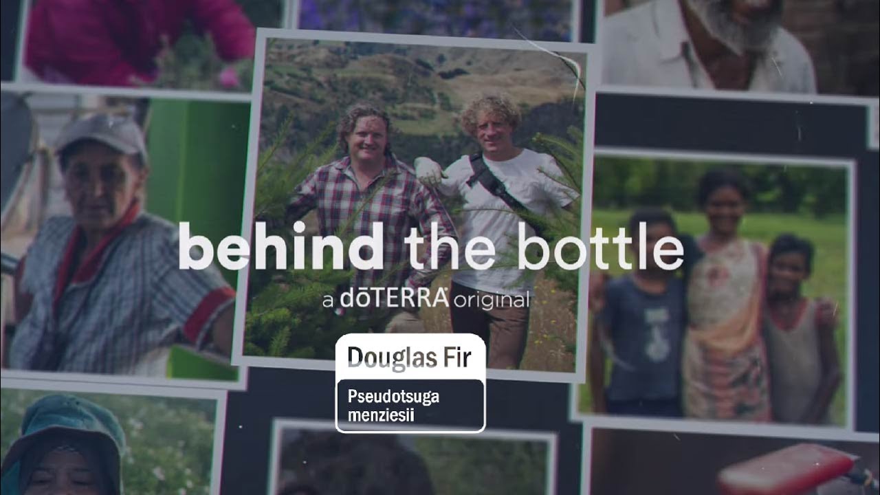 Douglas Fir Essential Oil | doTERRA Behind the Bottle: Episode 4