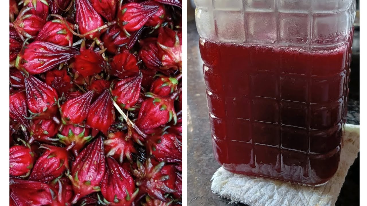  টেঙামৰা জেলিৰ ৰেছিপি 😋😍 Roselle seeds jelly recipe 😋🌿🤤🤤