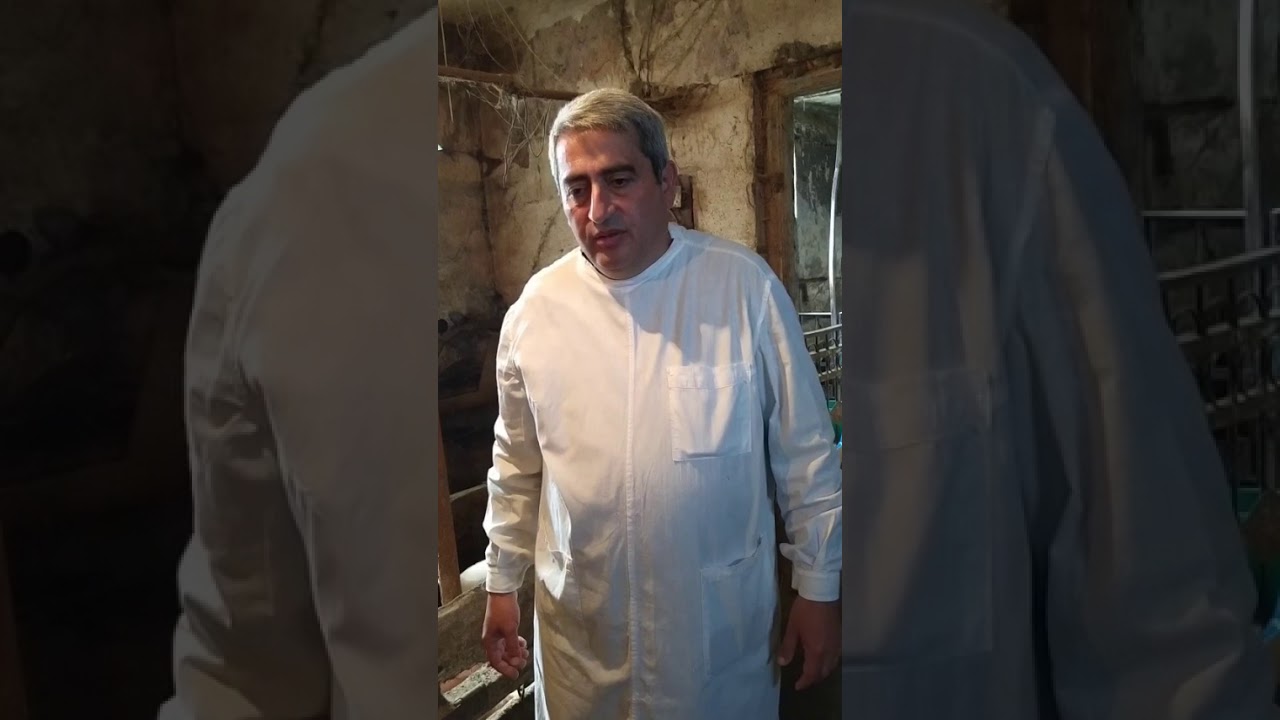Խոզերի ծնի և մատղաշի աճեցման կազմակերպման առանձնահատկությունները
