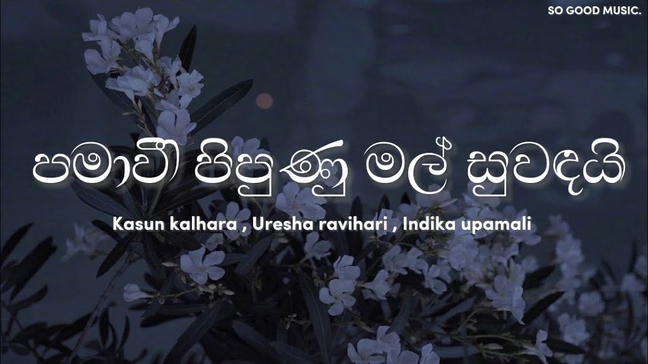 Pamawee pipunu mal suwadai (පමාවී පිපුණු මල් සුවඳයි) | Lyrics | Kasun k. , Uresha r. , Indika u.