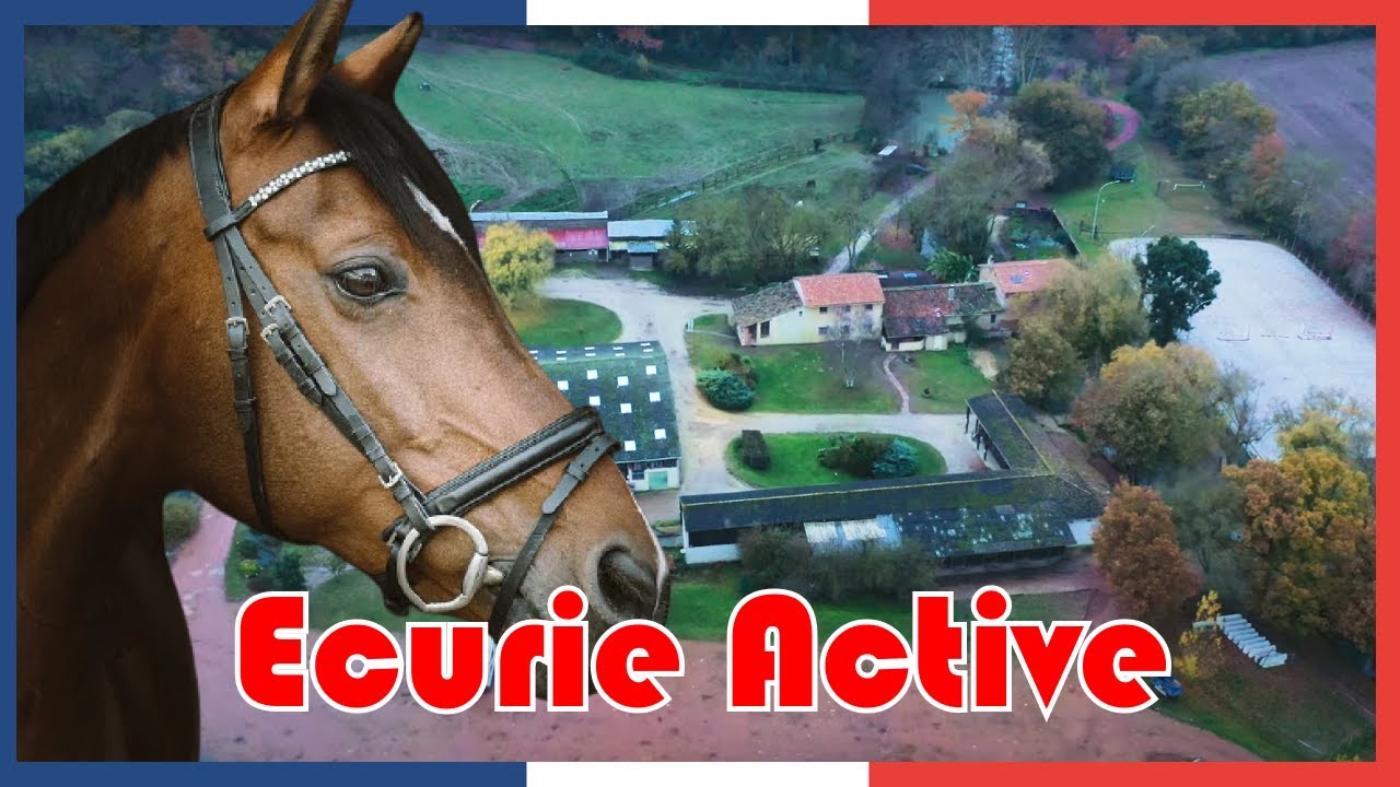 Je découvre ce qu'est une écurie active #CFT 5