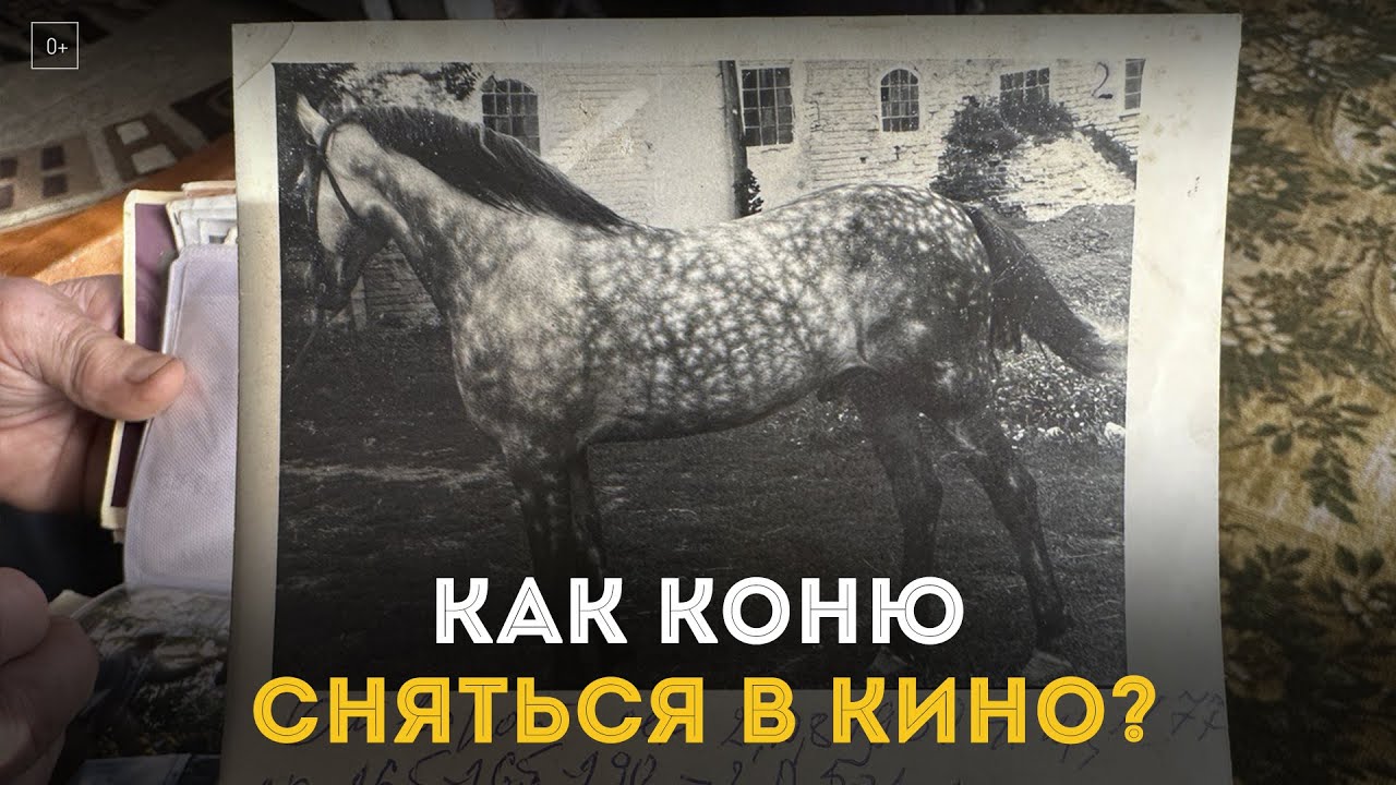 Как коню сняться в кино?
