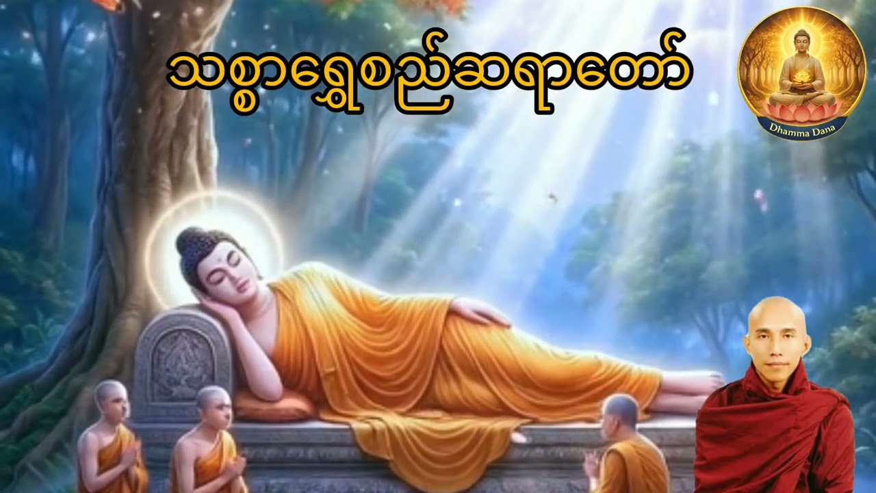 သစ္စာရွှေစည်ဆရာတော်#dhammadana #mindfulness 