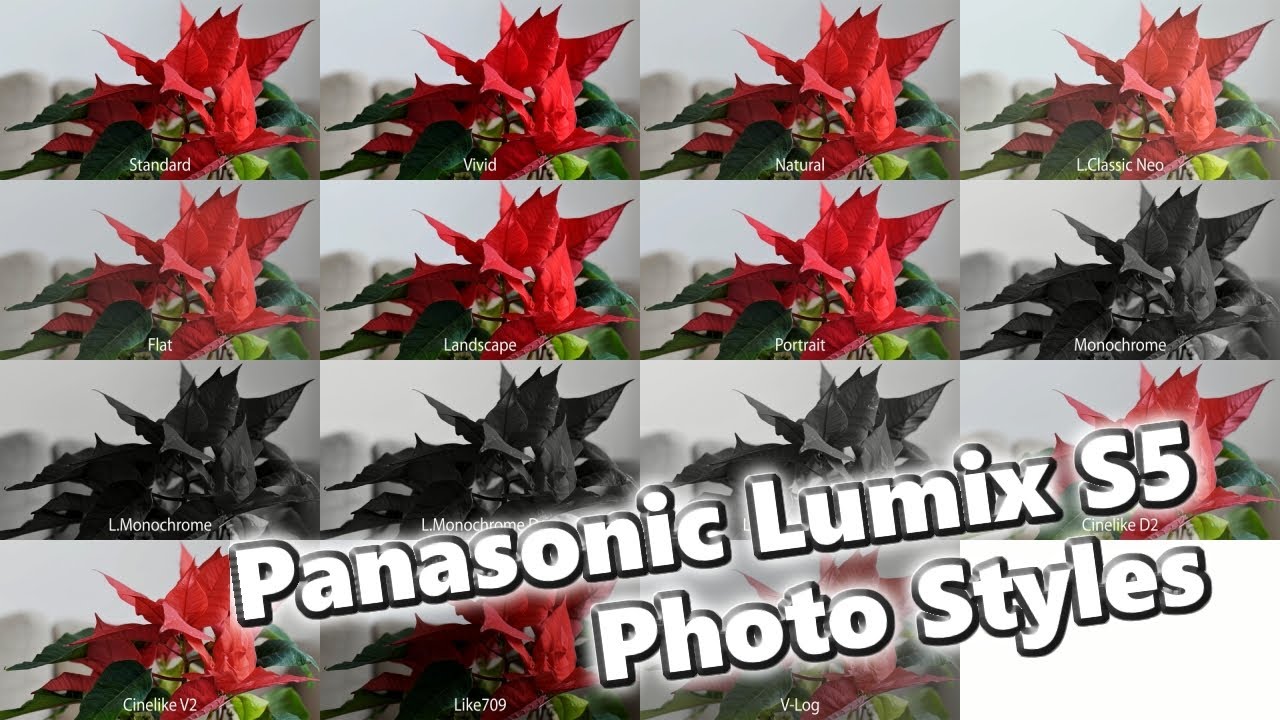 Panasonic Lumix S5 Photo Styles incl. V-Log, Cinelike,...