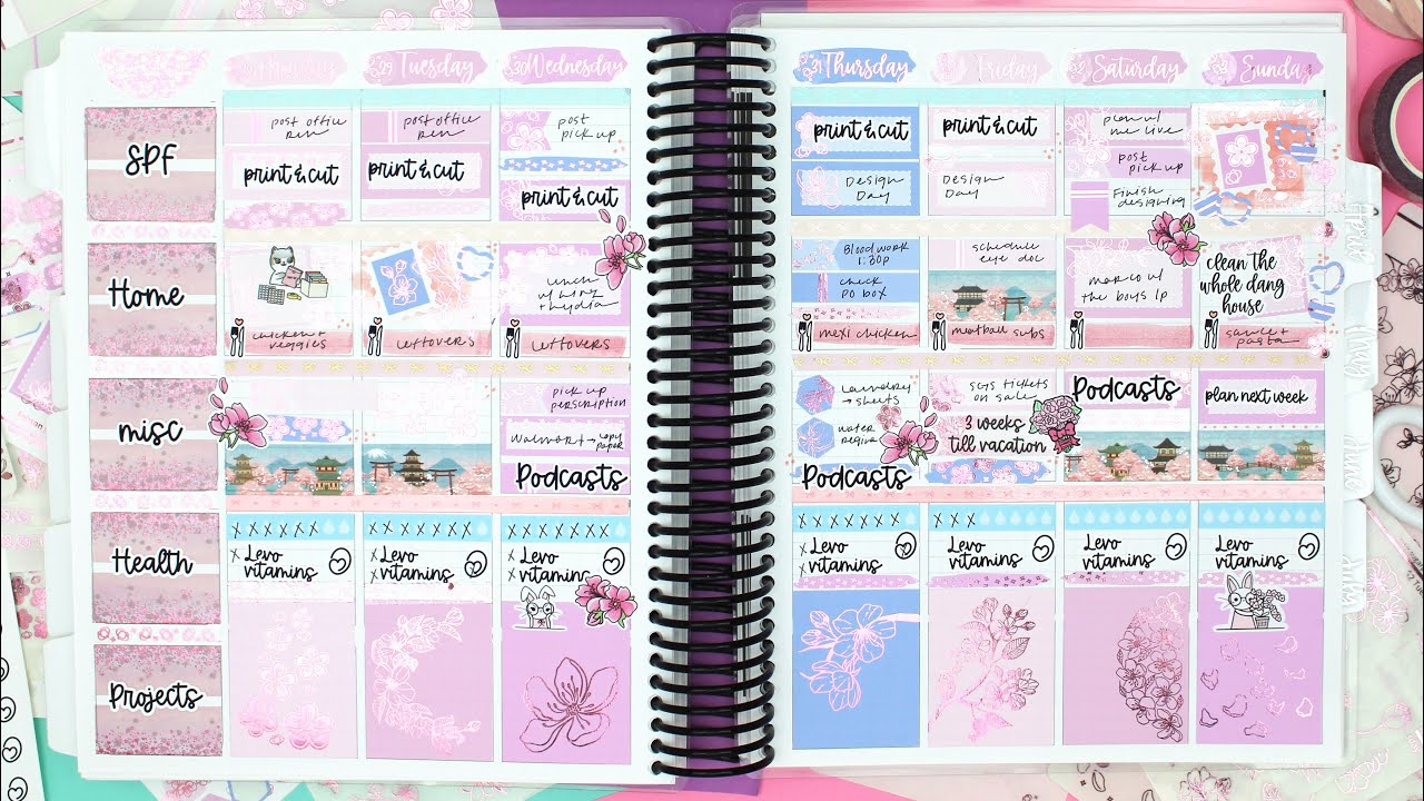 Plan With Me || March Plan With Me || Sugar Pop Fizz