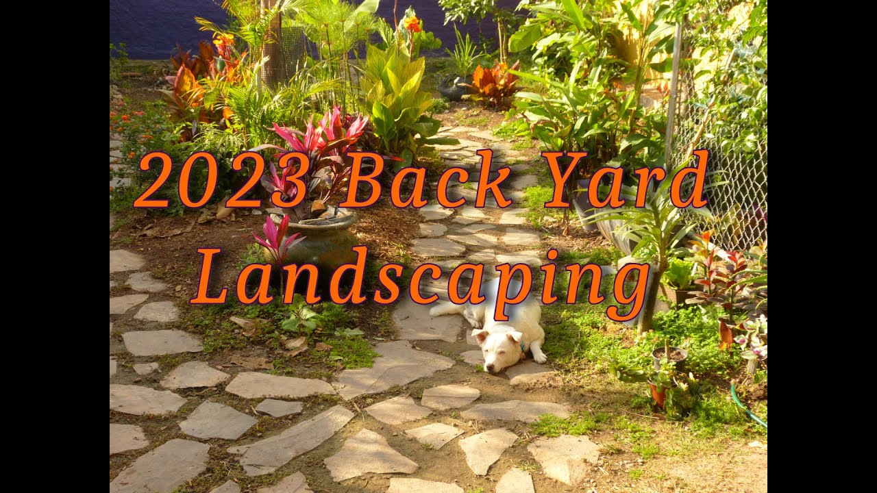 2023 Back Yard Transformation