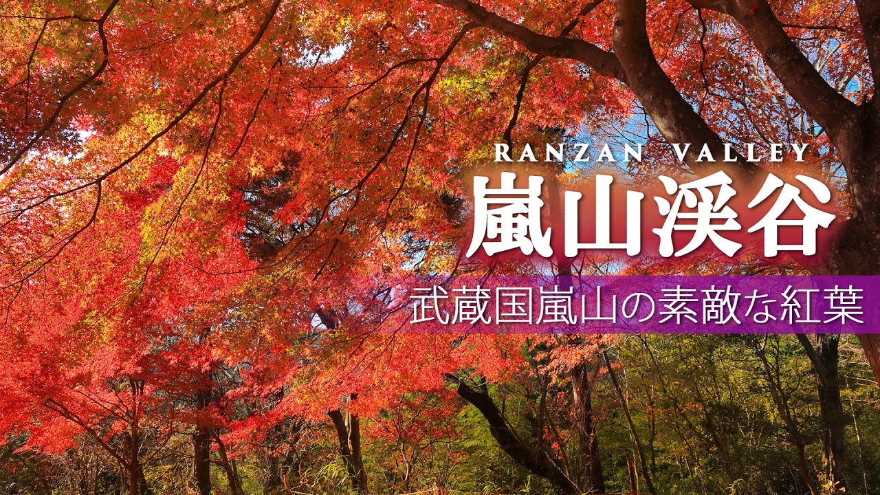 晩秋の武蔵嵐山渓谷で紅葉狩り/埼玉の嵐山/2022年秋/観光 旅行vlog