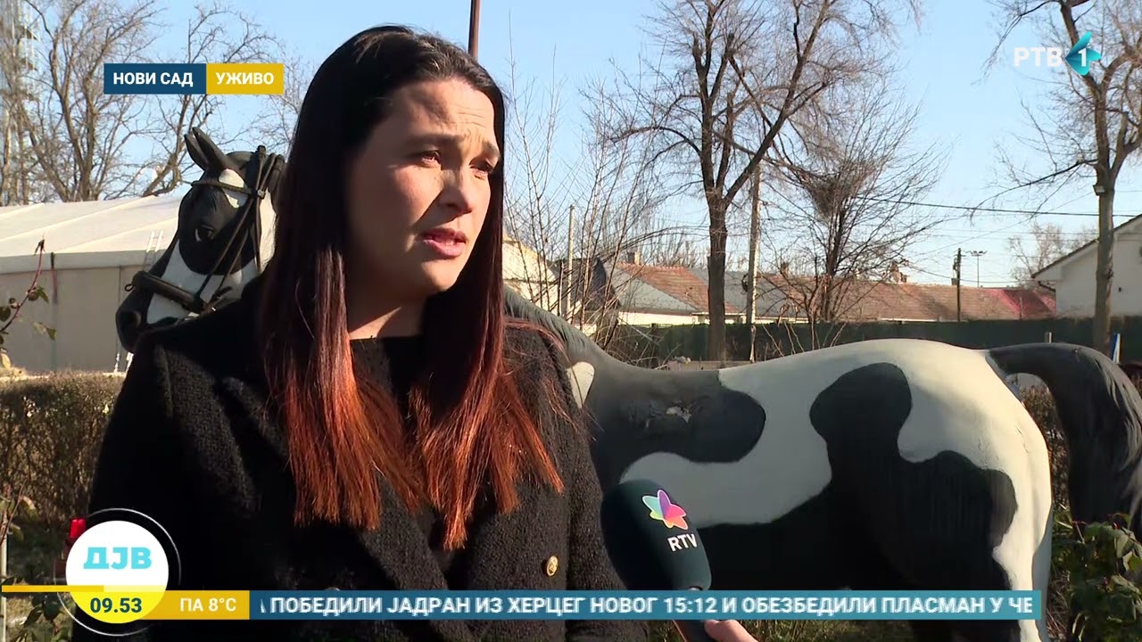 Za ljubitelje životinja konjički sport može da bude pravi izbor
