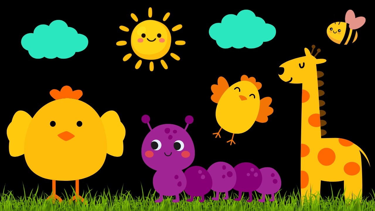 Baby Sensory Video – High Contrast for Newborn – Sensory Videos for Babies - Infant Tummy Time #baby
