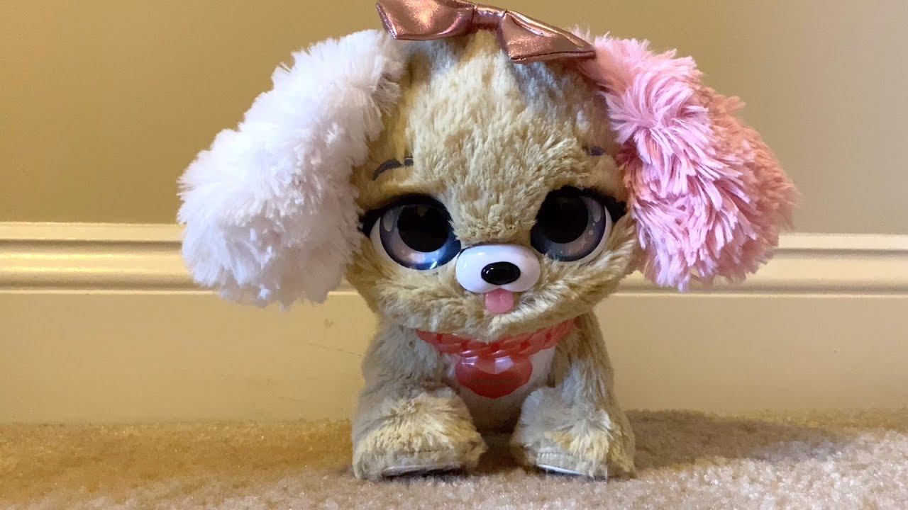 Обзор интерактивной игрушки Present Pets Fancy Puppy