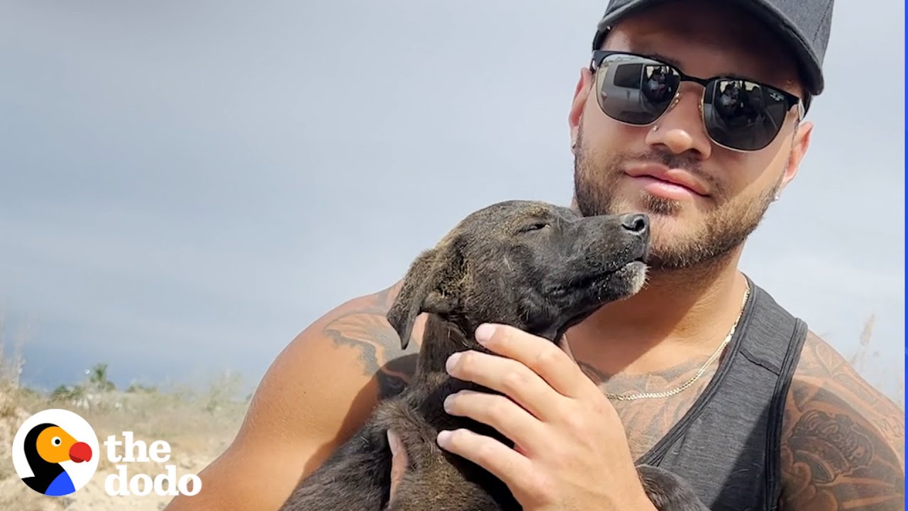 Couple Saves This Puppy From A Garbage Bag | The Dodo Running Back To Rescue
