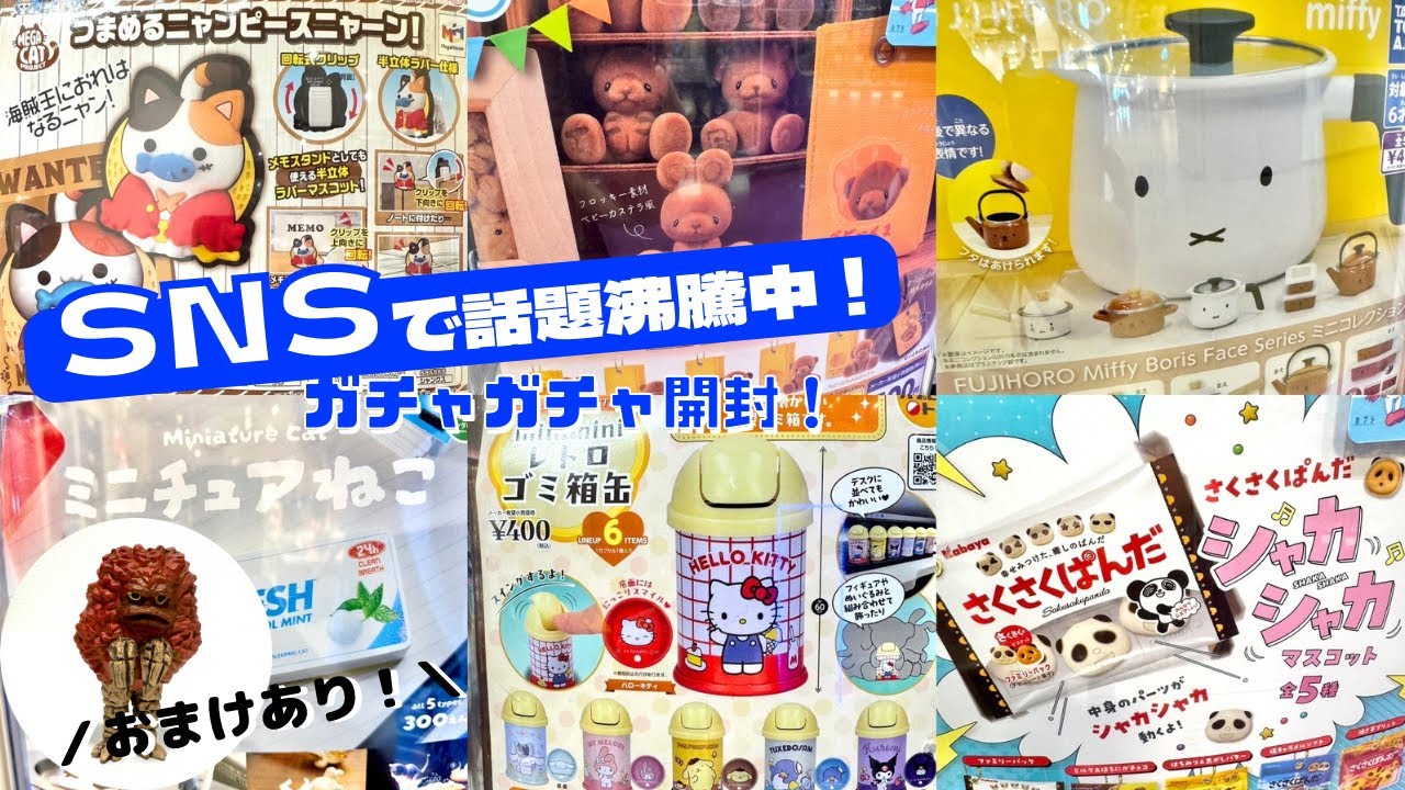 【ガチャガチャ】SNS界隈でウワサになってた人気のガチャ開封！※おまけもあります！ サンリオ/レトロ/ミッフィー