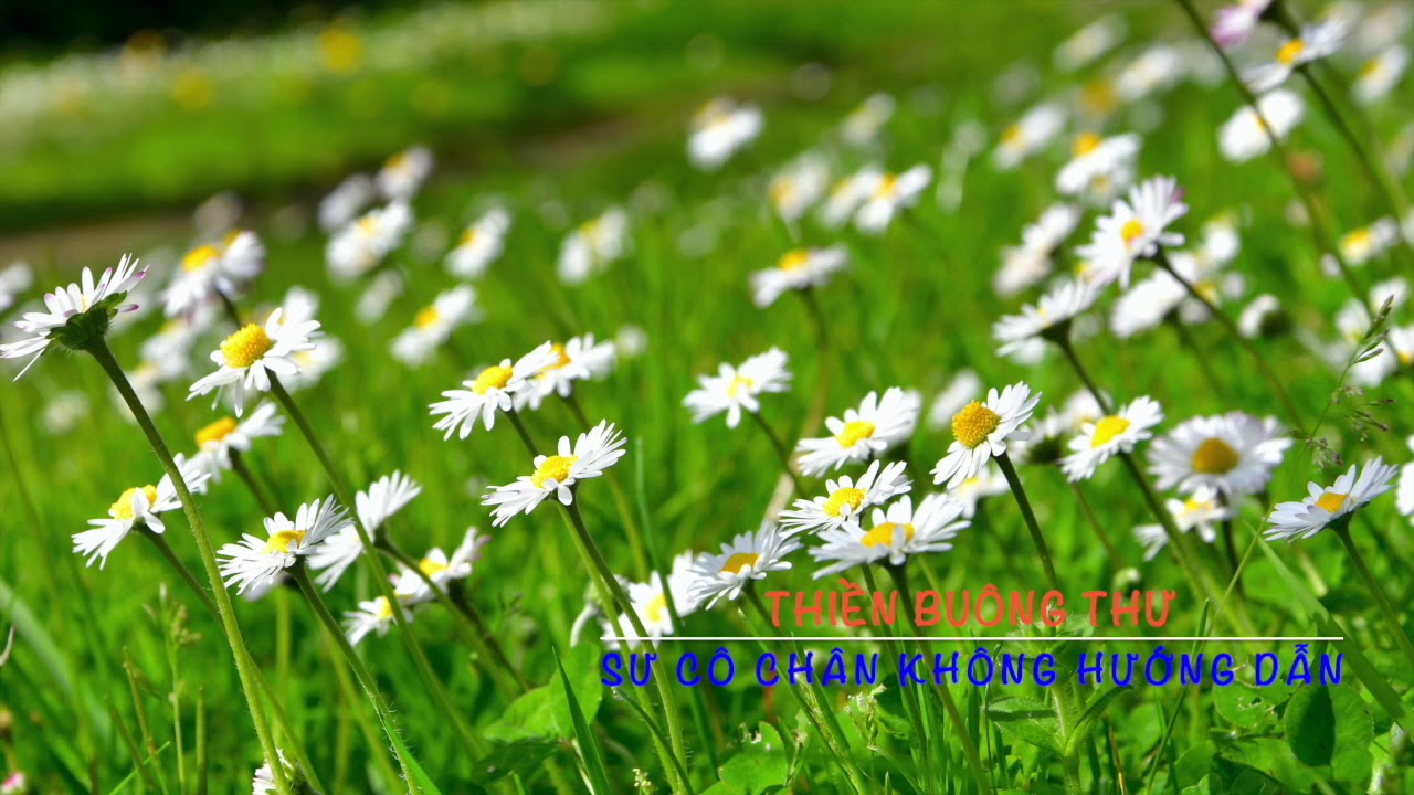 Thiền Buông Thư - Sư cô Chân Không hướng dẫn