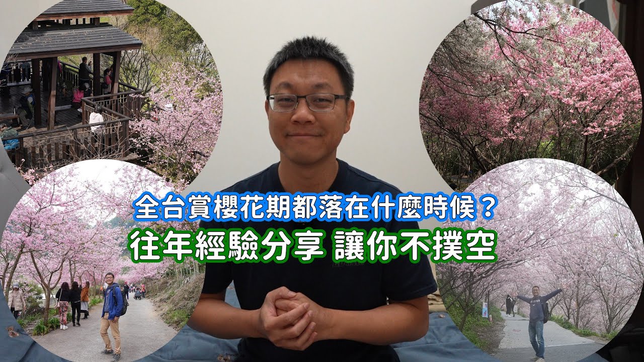 櫻花季節的到來，全台各地的櫻花花期都落在什麼時候？這集彙把往年開花經驗整給你讓你賞花不撲空